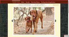 Desktop Screenshot of cazadorvizslas.com