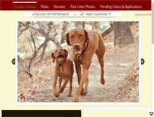 Tablet Screenshot of cazadorvizslas.com